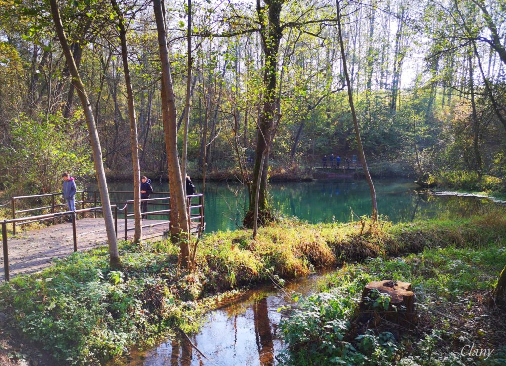 Neue Verordnung zum Naturschutzgebiet „Rhumeaue, Ellerniederung